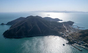 �������Ű��� �������� ����������������ü �ִ� 20�� ���� �� ����