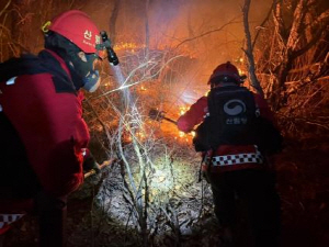 1�� �� ��� ������� �� ������ �����ȭ, ���� ã�ҳ�?