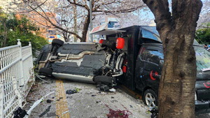 ������ ġ�� �Ƴ�, ������ ���˾ƺ����ε� ������ ���ֿ� ���� �����޶�