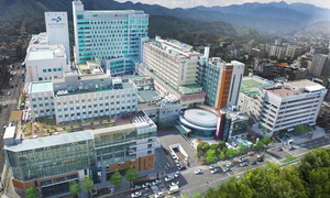 ������ �������� ������ �ǿ��� 17�� 742�� ����