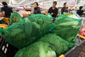 ġ ֿ ,   谡 kimchi cabbage θ