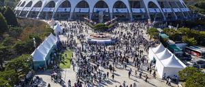 �λ��, BTS ���� �� �ٰ������������ �����ں� ������ Į ���(����)