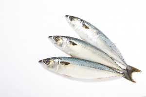 õ¿¬ Àç·á¸¸À¸·Î ºñ¸°³» ÀâÀº °íµî¾î¡¦Ú¸ ¹ä»óµµ ³ë¸°´Ù