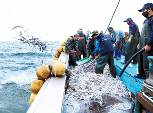    ӱ  2694560 غ 3.05% ö