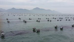 ����ε�, �泲 �뿵���� �����깰 �����ݡ� ���� ��� ����