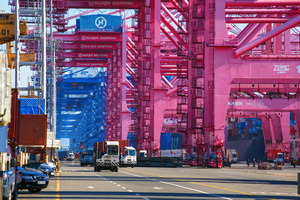 ���� �� ���� �����󡤳�Ʈ��ũ�������� 500�� �׸� ����