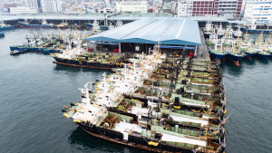  �鼼�� �޵ �λ� � �������� ����