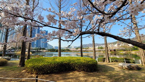 ���� ���� �Ѿ� ������ȭ�Ρ����������� ����