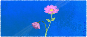 [�� ������ ����] ���� ħ��- ��ī��Ʈ�� ��ħ���� ���衯�� �а� /�ڱ���