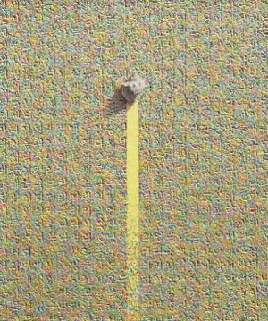 Ÿ桯 ƼꡦؽƮ̹ 
