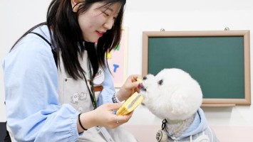 ����̵� ���� �ӹ��͡����ϻ��塦�Բ� ����Ʈ Ÿ��