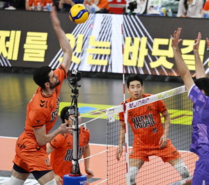   ų OK, ȹ漭 װ 11 ´