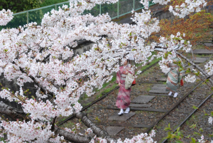 Ϻ,  å ⱹ 3000 ̻ λ 