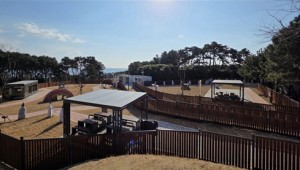 ���ֱ� �ݷ����� ������  �����޺��� ���� �ù��