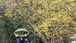 ����� Ȱ¦