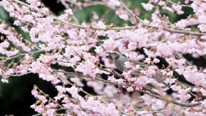 ���� ���� ��