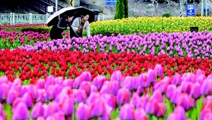 ���� �컶 ƫ��