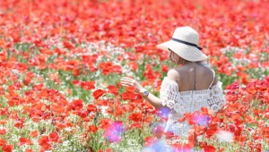 �Ӱ� ���� ��ȭ��������ͺ� �ɹ���