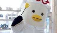  ����쳪 ���� �α⡯ ����, �˾������� ������ ����