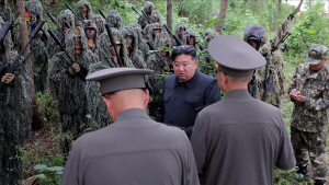 , ׸ѹ̾Ⱥǿ ݹߡ" ¼ "