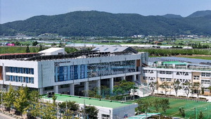 ���� �� ������ �������IT�������93%�� ���� ��� ����� �� ����