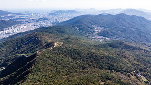 �����걹������ ���� �����塤�ȳ�ü�� �����