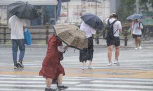 �ÿ��� �帶 ���� ���ᡦ�帶 �Ⱓ ���� ����