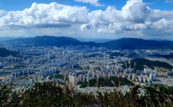 �λ� ��� �泲 ���� ���� ���� ���ؾ� ��ǳ ����