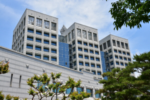 ���ֽ�, ����� ��  ������ �泲 ���� �� �� 1��