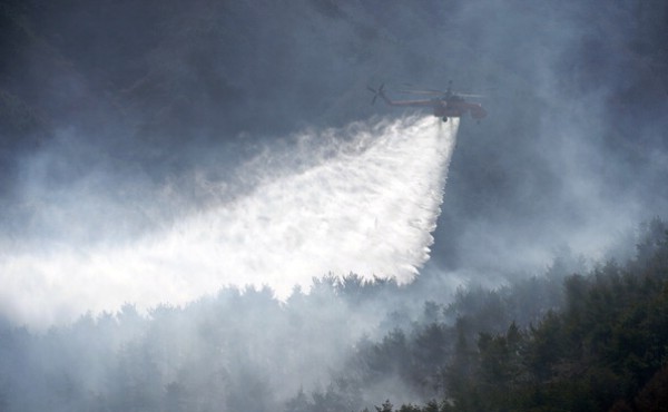 ��� 54�� ���� �Ծ� ���, ���� ���� ��Ҵ�