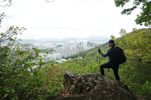 ���������Ͻŵ��� ���� ���� �������ŷ� ���� �︲���� ���� ����