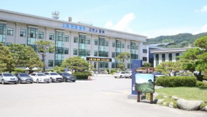 Çϵ¿±º, ¡®Çϵ¿Çü À°¾Æ¼ö´ç¡¯ µµÀÔ