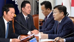 æ¨, ´ç¿ø¡¤´ëÀÇ¿ø 1ÀÎ1Ç¥Á¦¡¦±¹Èû ÁöÀÚüÀå PT Æò°¡