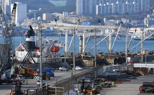 ¹æÄ¡µÈ ¹è·Î µ· ¹ú¾î ¿À°Ú´Ù´õ´Ï¡¦°íö·Î ÆÇ »ç±â²Û?