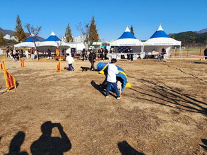 ��� �ݷ��� ����, �ݷ����� �����ͷ� ������