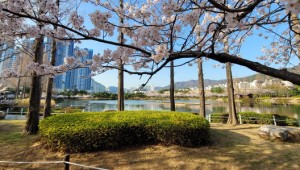 ���� ���� �Ѿ� ������ȭ�Ρ����������� ����