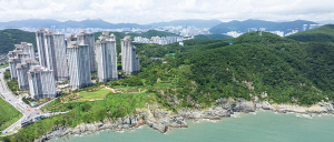 ºÎ»ê ¿ëÈ£¾¾»çÀ̵å ÁöÁöºÎÁø ¹è°æ¡¦¼Ò¼Û ³²¹ß ¡®¹ÙÁö»çÀ塯 ½ÇÇü