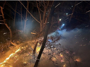 °ÇÁ¶¡¤°Ç³À¸·Î ÀÌÆ²°£ »êºÒ 15°Ç ¹ß»ý