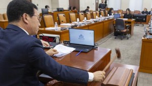 ±¹¹ÎÅõÇ¥¹ý °³Á¤¾È, ¿©´ç ÁÖµµ Çà¾ÈÀ§ Àǰᡦ±¹Èû ºÒÂü