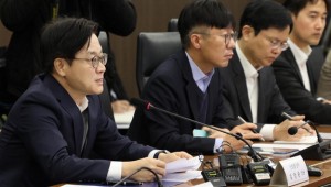 ¡°Ç°¸ñ°ü¼¼ ¶Ç ¿Ã¸±¶ó¡± ¡°Å« ¿µÇâ ¾øÀ» °Í¡± ¾ù°¥¸° Àü¸Á