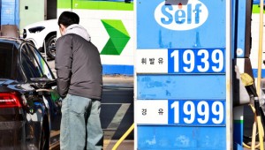 �ٴ� �⸧�� 20�� ���� �϶�����