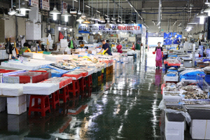 Ƚ���� �������������� ������ ����� ������ 12% ����