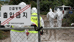 ÀüºÏ Àå¼ö ¿À¸® ³óÀå¼ °íº´¿ø¼º AI È®Áø¡¦Àü±¹ 60¹øÂ°