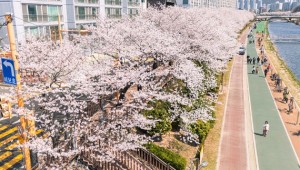 ���� ã�ƿ� ���� �ҽġ��λ�泲 ȭ���� �������� ������