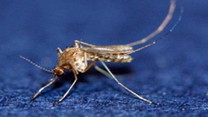 ��»�¡����̸� ������⡦�λ� 8�ϡ���� 6�� ���� ��