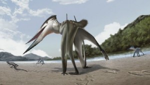 �ɾ ����� �ͷ�? ���ּ� ù ���ڱ� ȭ�� Ȯ��