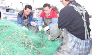 ������, �嵿�� ������ �������������������� �ĺ��� �� ��ǥ �Ÿ��α� Ȯ��