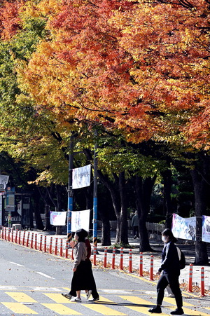 ºÎ¿ï°æ À̹ø ÁÖ ÃÊ ±ô¦ ÃßÀ§¡¦¼ö´ÉÇÑÆÄ´Â ¾øÀ» µí