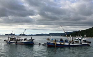 �泲 �������� ���, ���ؾ��� ������