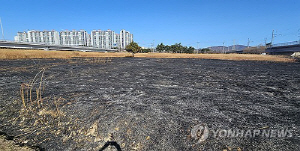 ��� ��ȭ�� ����� �������� ��ȭ 50�� ���� ���ӿ��� ��û